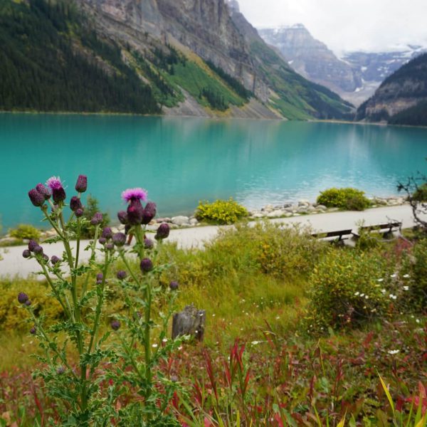 Banff Nationalpark