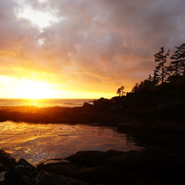 Port Renfrew